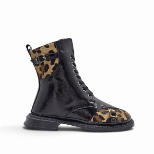 Anzia NB-24240 Leopard