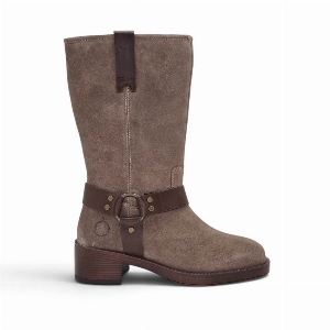 LOrange Gabby-30 Taupe Suede