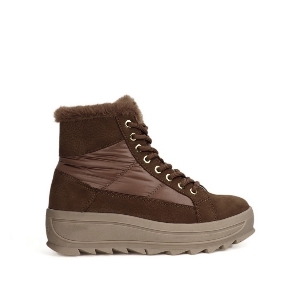 Pajar Galaxia Chestnut