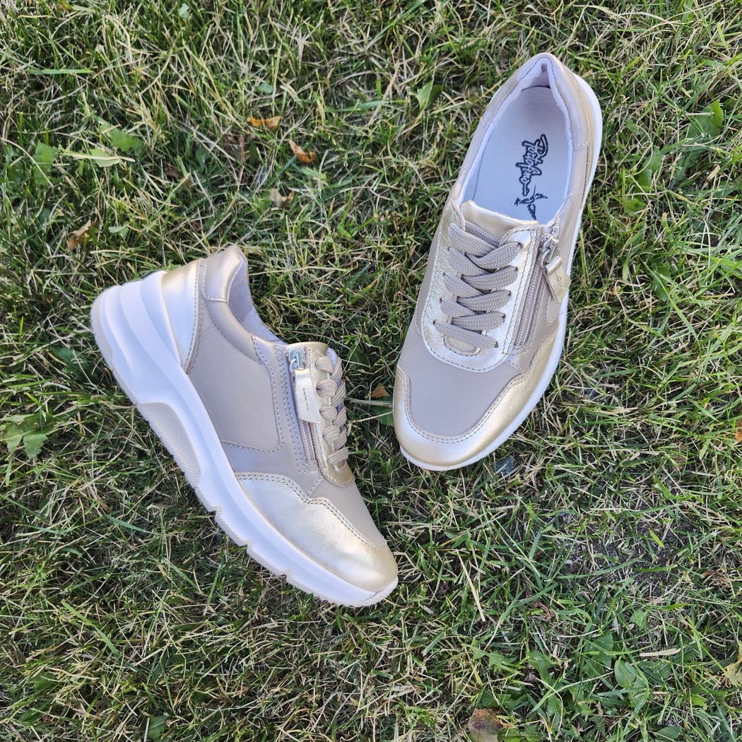 Anzia AP-12273 Platino