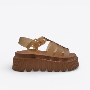 Petite Jolie PJ7561 Fllow Caramel