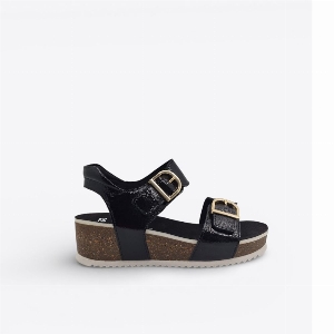 Ara 12-38510 Nova Noir Patent