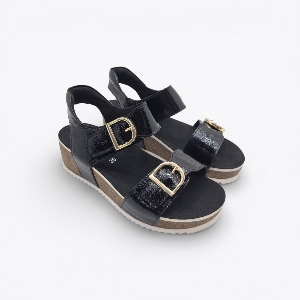 Ara 12-38510 Nova Noir Patent