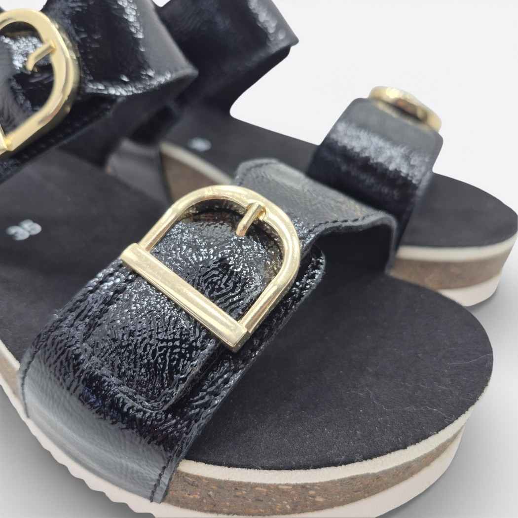 Ara 12-38510 Nova Noir Patent