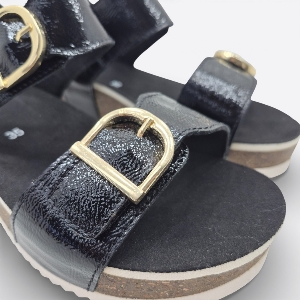 Ara 12-38510 Nova Noir Patent