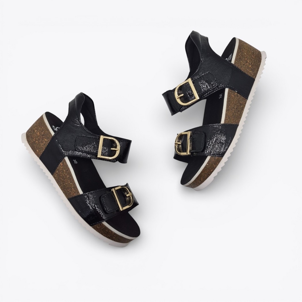 Ara 12-38510 Nova Noir Patent