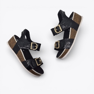 Ara 12-38510 Nova Noir Patent