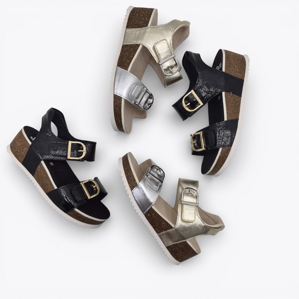 Ara 12-38510 Nova Noir Patent