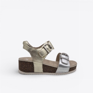 Ara 12-38510-12 Nova Silver Platinum