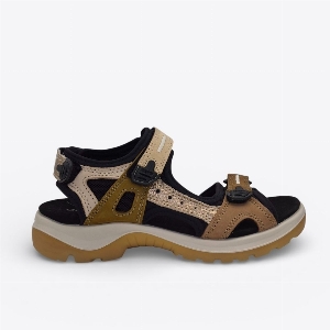Ecco 069563 52043 Offroad Brun Multi